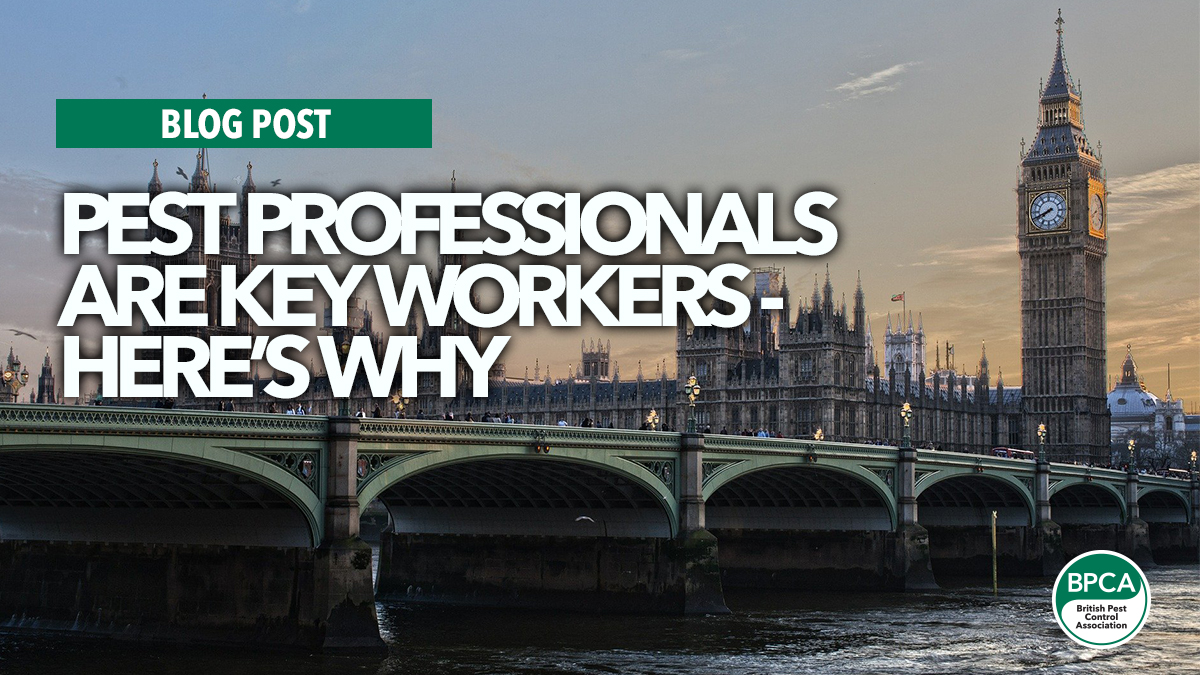 pest professionals are key workers covid pest professionals are key workers covid